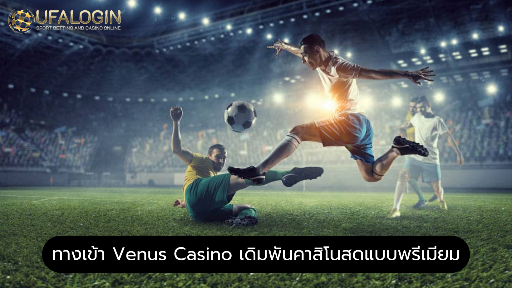 ทางเข้า Venus Casino